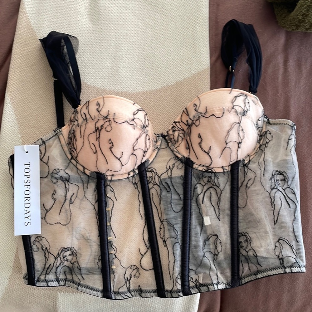 Tops For Days Venus Mesh Corset in Nude/Pink Medium